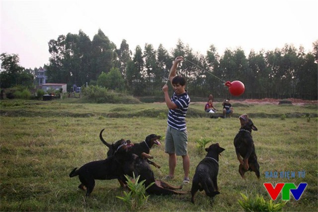 Từ ngày 20/4, đánh đập, hành hạ thú nuôi sẽ bị phạt đến 3 triệu đồng