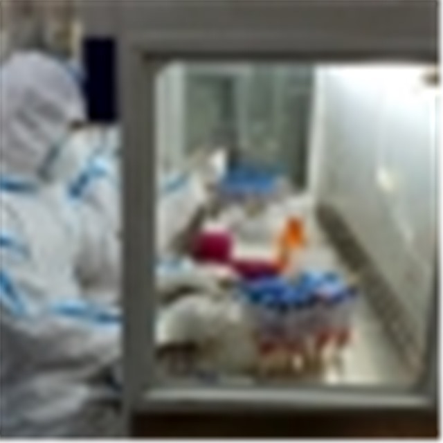 56 hành khách trên chuyến bay VN 1188 đã có kết quả xét nghiệm âm tính với SARS-CoV2