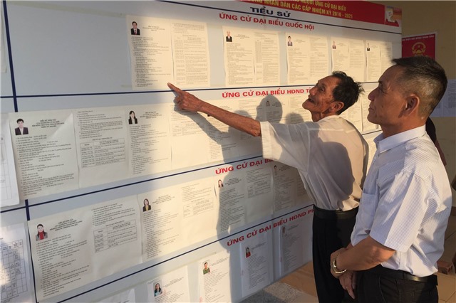 Ngày bầu cử được quy định như thế nào?