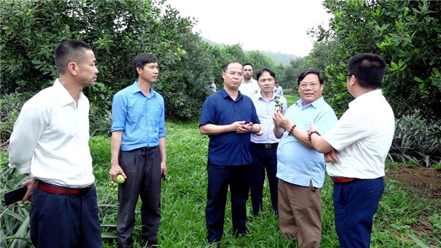 Đoàn công tác TP Uông Bí học tập kinh nghiệm kỹ thuật trồng và chăm sóc cây Mắc ca tại huyện Thạch Thành, tỉnh Thanh Hóa