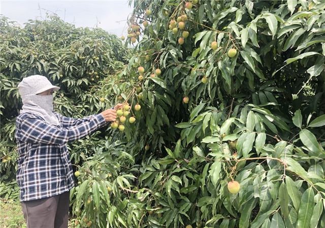 Những quyết sách đổi thay vùng đất Phương Nam