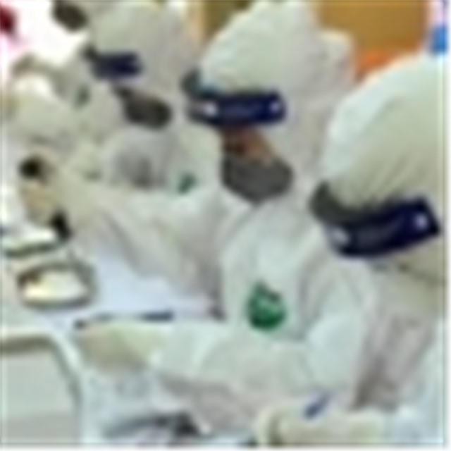 Bộ Y tế: 37 mẫu COVID-19 tại Đà Nẵng, Điện Biên và Hải Phòng mang biến chủng Anh và Ấn Độ