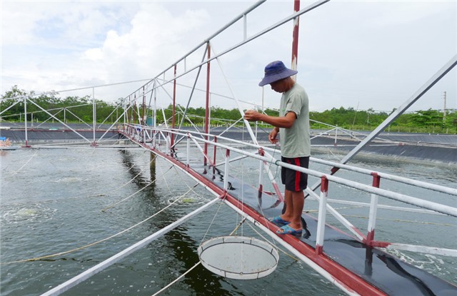 Phường Trưng Vương: Đổi thay sau sáp nhập