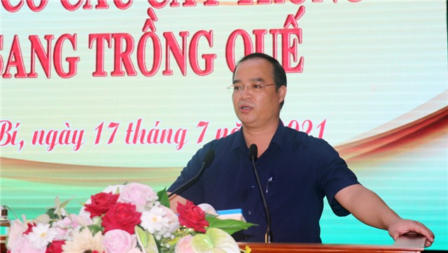 Hội nghị chuyên đề về chuyển đổi cơ cấu cây trồng  từ cây Keo, Bạch đàn sang trồng Quế