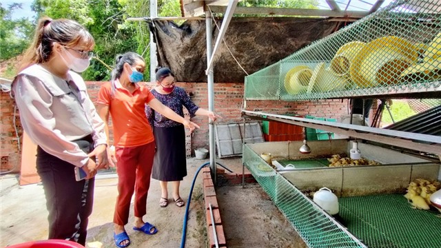 Ngăn chặn bạo lực trên cơ sở giới