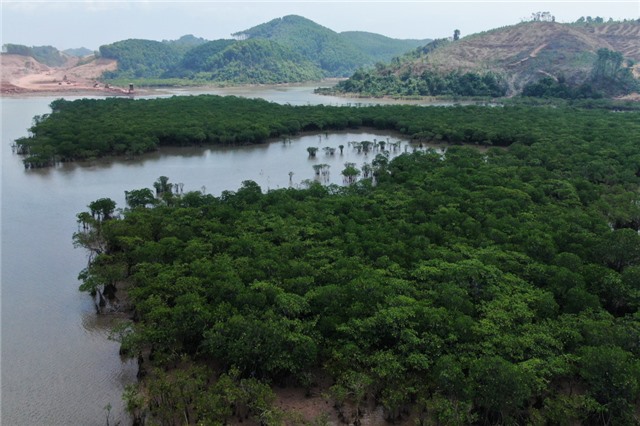 Quảng Ninh: Song hành phát triển hạ tầng với bảo vệ môi trường