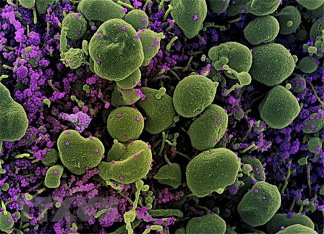 Sống chung không có nghĩa là mặc kệ