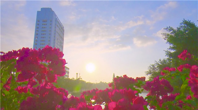 Người dân TP Uông Bí đón Tết “bình thường mới”