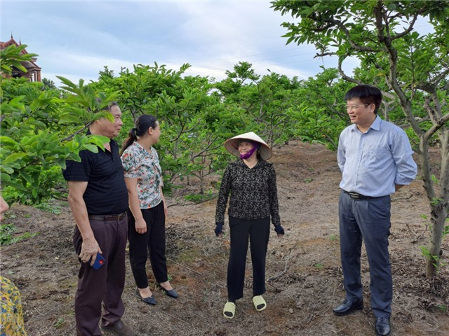 Kỷ niệm 92 năm Ngày thành lập Hội Nông dân Việt Nam 14/10 (1930-2022): Xứng đáng là điểm tựa vững chắc cho nông dân