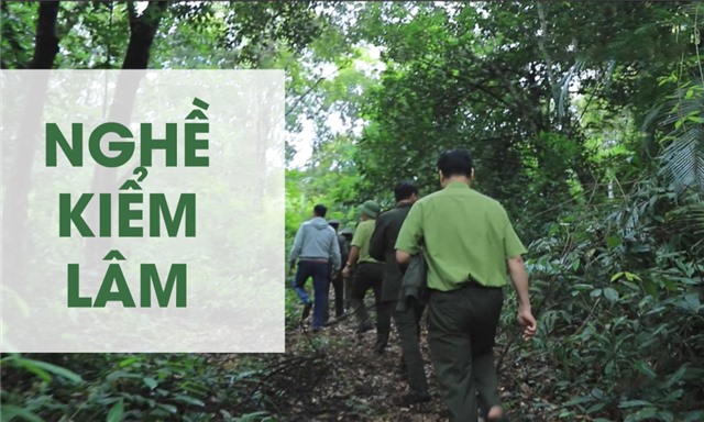 Nghề kiểm lâm