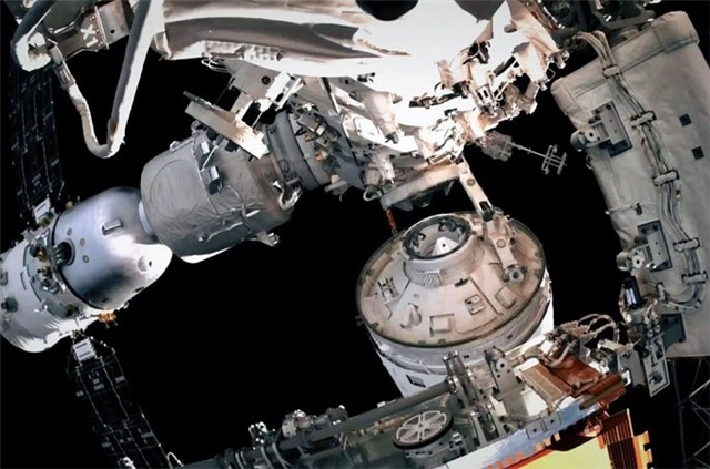 Trung Quốc thí nghiệm cho khỉ sinh sản trên trạm vũ trụ