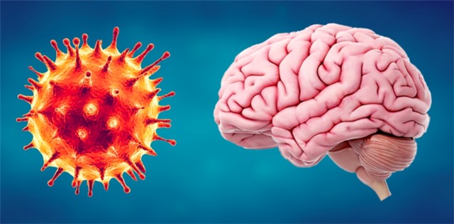 Phát hiện tác động mới của Covid-19 lên não người