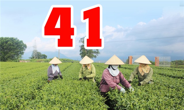 41 - là số vùng trồng trên địa bàn tỉnh đáp ứng tiêu chuẩn cơ sở về quy trình thiết lập và giám sát