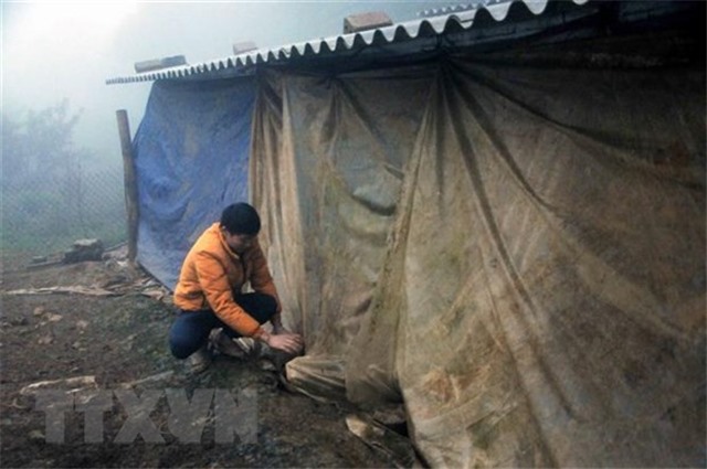 Từ 10/2: Các tỉnh Bắc Bộ chuyển rét về đêm và sáng, ngày có nắng