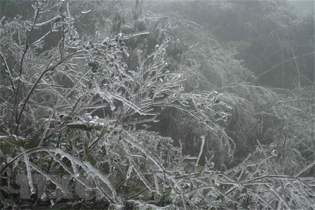 Không khí lạnh tăng cường từ đêm 22/2, Bắc Bộ và Bắc Trung Bộ rét hại 