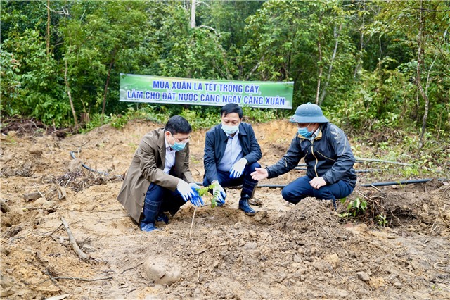 Thành phố Uông Bí: phát động “Tết trồng cây đời đời nhớ ơn Bác Hồ” xuân Nhâm Dần 2022