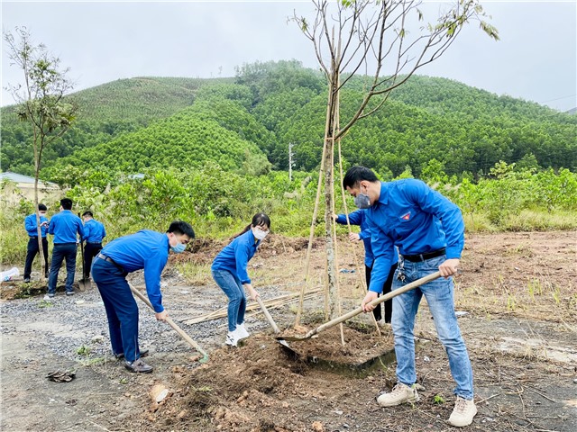 Đoàn thanh niên phường Vàng Danh: Hưởng ứng Tết trồng cây đời đời nhớ ơn Bác Hồ xuân Nhâm Dần 