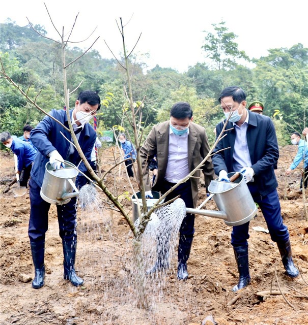 Tích cực hưởng ứng Tết trồng cây – chung tay Vì một Việt Nam xanh