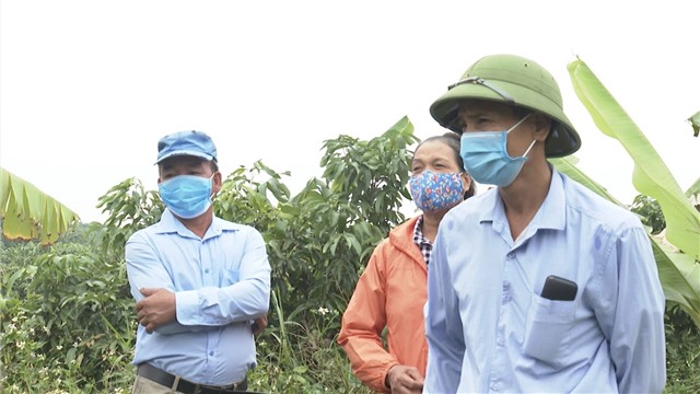 Khu Phong Thái (phường Phương Nam): Phát huy vai trò của hệ thống chính trị ở cơ sở trong vận động GPMB dự án Đường ven sông