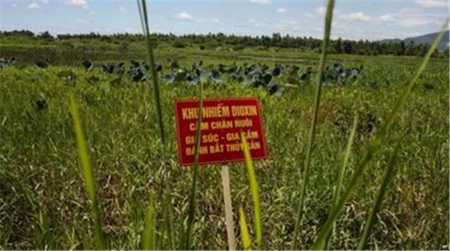 TP Uông Bí: triển khai Kế hoạch hành động khắc phục hậu quả chất độc hóa học/dioxin giai đoạn 2022-2030