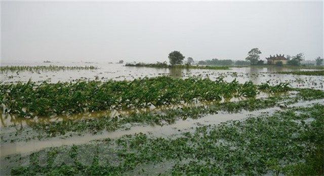 Các tỉnh Bắc Bộ nắng ráo, Trung Bộ tiếp tục mưa lớn ở nhiều nơi