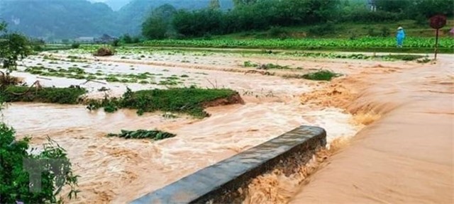 Vùng núi và trung du Bắc Bộ tiếp tục mưa to, đề phòng lũ quét, lở đất 