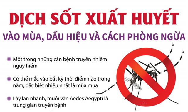 Dịch sốt xuất huyết vào mùa, dấu hiệu và cách phòng ngừa