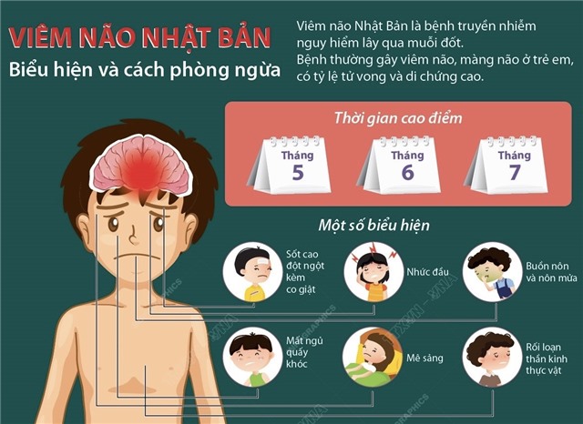 Viêm não Nhật Bản: Biểu hiện và cách phòng ngừa