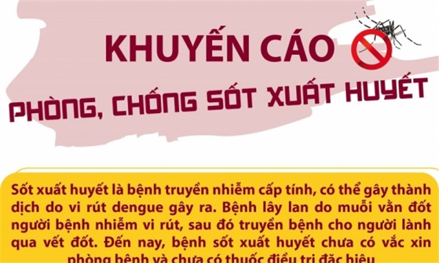 Khuyến cáo phòng, chống sốt xuất huyết