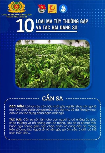 Ma tuý - Đừng thử dù chỉ một lần
