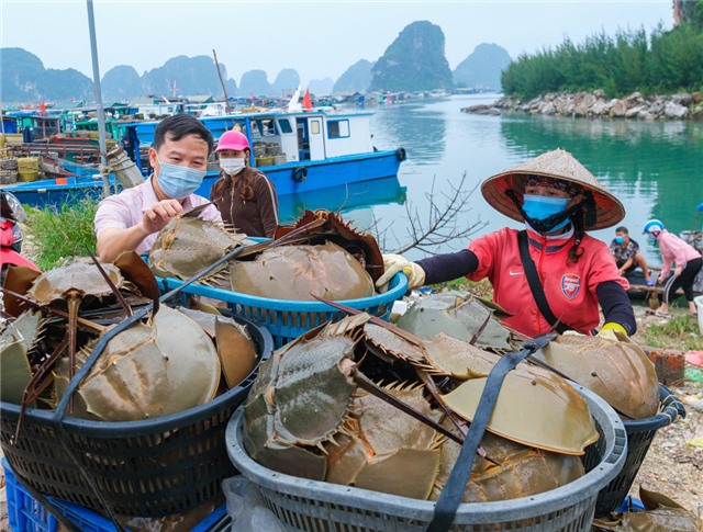Quảng Ninh: 11 chương trình tín dụng chính sách sẽ được hỗ trợ lãi suất 
