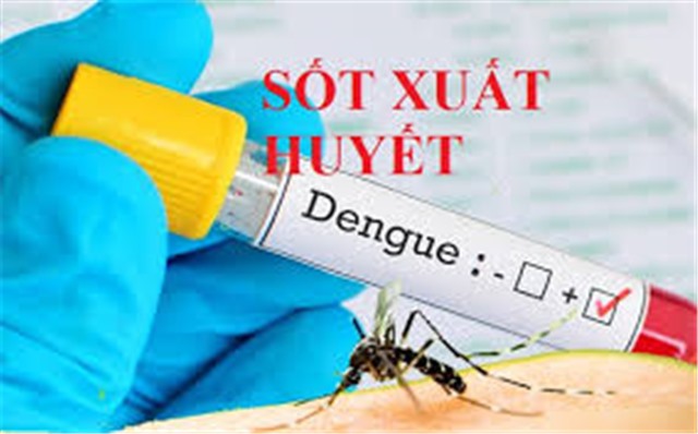 Chỉ 1 tuần, tăng hơn 11.000 trường hợp mắc sốt xuất huyết