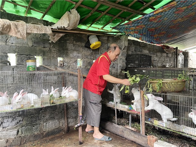 Người thương binh giàu nghị lực