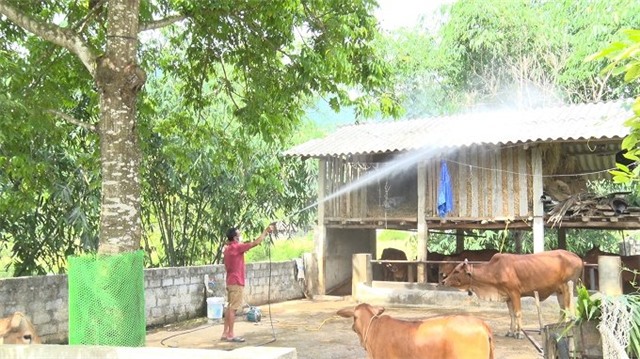 Phòng, chống nắng nóng cho vật nuôi