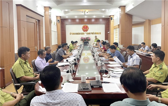 TP Uông Bí: triển khai nhiệm vụ kiểm kê rừng