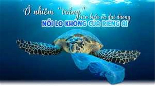 Cuộc thi ảnh “Ô nhiễm trắng và những tác động đến hệ sinh thái biển”