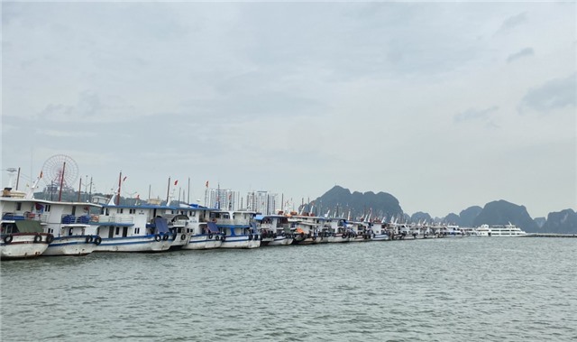 Tạm ngừng cấp phép tàu du lịch từ 12 giờ ngày 25/8/2022