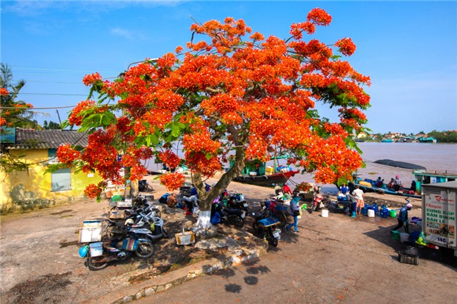 Đặt tên đường, phố ở Quảng Ninh