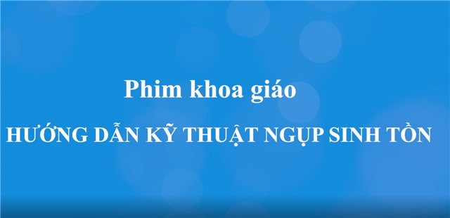 Phim khoa giáo: Hướng dẫn kỹ thuật “Ngụp sinh tồn”
