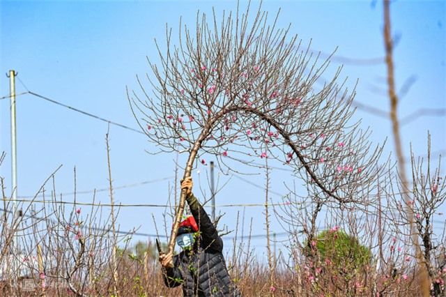 Kiến nghị nghỉ Tết Nguyên đán 2023 sớm