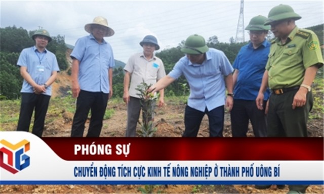 Chuyển động tích cực kinh tế nông nghiệp ở thành phố Uông Bí