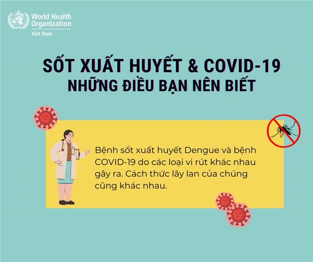 Cách phân biệt sốt xuất huyết và COVID-19