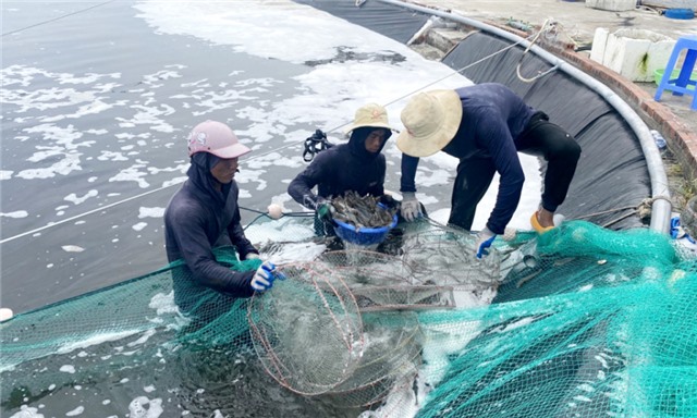 Phát triển kinh tế - xã hội năm 2022: Tăng tốc để hoàn thành chỉ tiêu