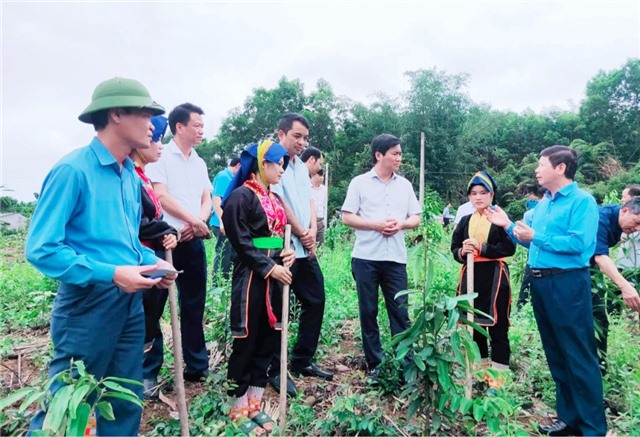 Phát triển rừng bền vững