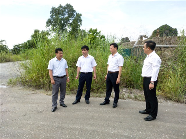 Giám sát kết quả thực hiện các quy định của pháp luật trong chuyển mục đích sử dụng đất rừng và đất trồng lúa đối với các dự án trên địa bàn phường Phương Nam