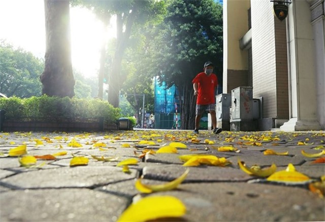 Bắc Bộ mưa to cục bộ vào chiều tối, đề phòng có lốc và gió giật mạnh