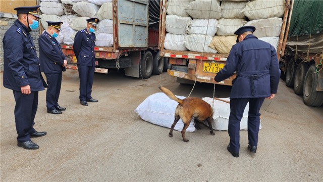 Kiên quyết đấu tranh, ngăn chặn những vi phạm về pháo