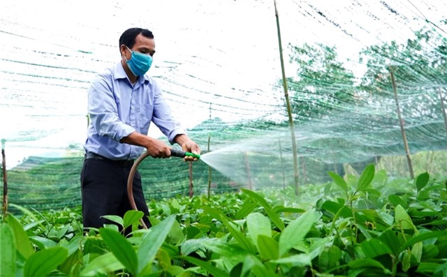 Vì một Quảng Ninh xanh