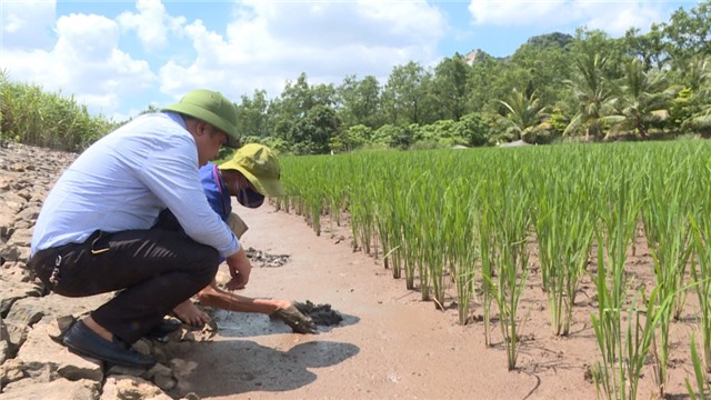 Nông sản chứa đựng hàm lượng khoa học công nghệ cao