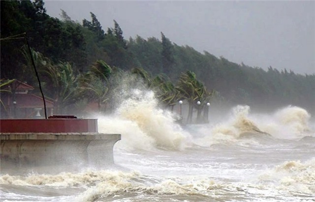 Khu vực ven biển từ Quảng Ninh-Khánh Hòa chủ động ứng phó bão Koinu